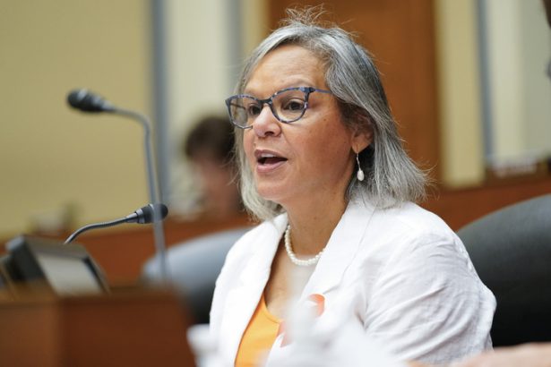 A historic Senate opening meets a divided Illinois Democratic Party