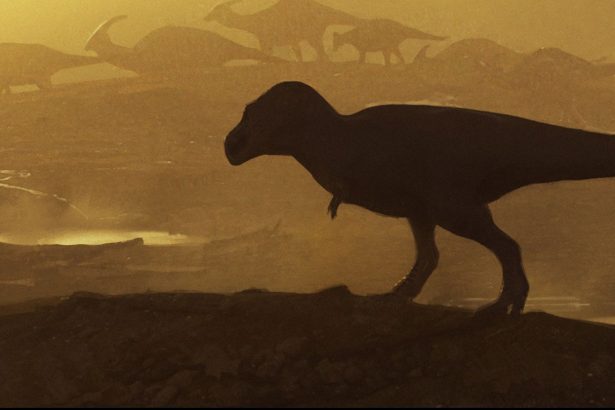 A large fossil leg bone hints at T. rex’s origins, but scientists disagree