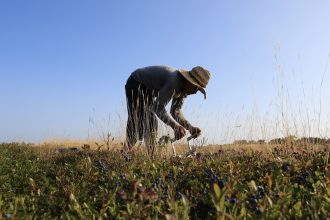 After a lawsuit, USDA agrees to share climate risk data with farmers