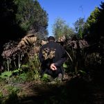 Ali Eyal Gives Testimony