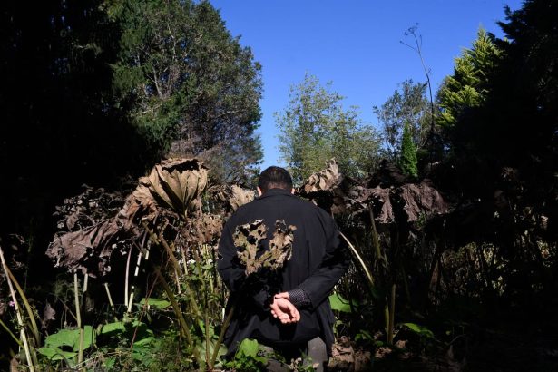 Ali Eyal Gives Testimony