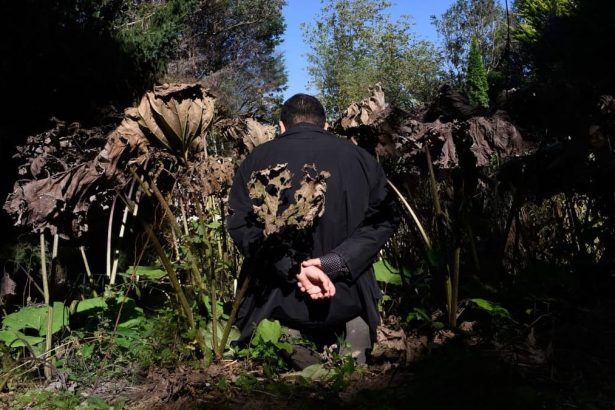 Ali Eyal’s Forever War