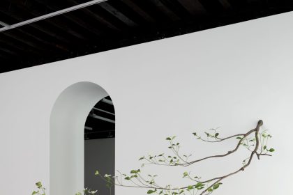 Álvaro Urbano Suspends Fleeting Moments of Decay in Metal Plants — Colossal