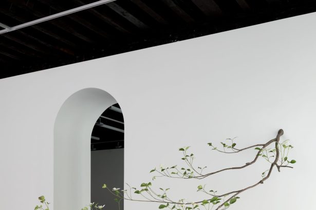 Álvaro Urbano Suspends Fleeting Moments of Decay in Metal Plants — Colossal