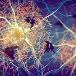 Alzheimer’s may start with inflammation in the skin, lungs or gut