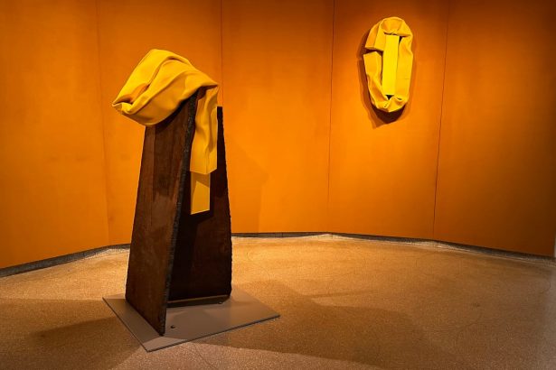 An Overfilled Guggenheim Retrospective Dulls Carol Bove’s Brilliance