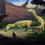 Ancient ‘weirdo’ reptile graduated from 4 legs to 2 in adolescence