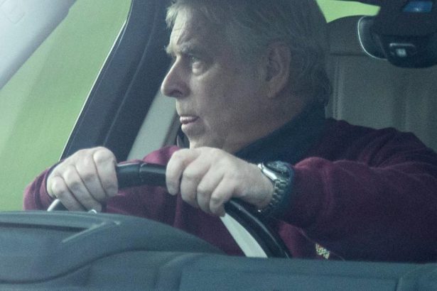 Andrew Windsor in Therapy Over ‘House Arrest’ Fears