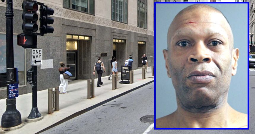 Another ‘Loop Puncher’ charged with randomly attacking a woman in downtown Chicago