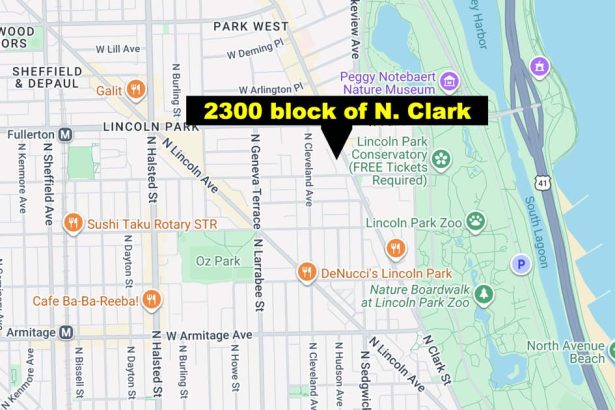 Armed men violently mug woman in Lincoln Park