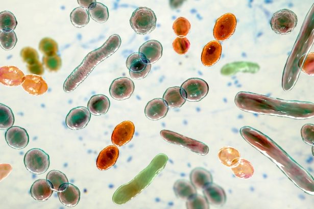 At-home microbiome tests reveal dramatically different results