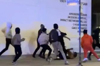 At least 3 hospitalized, 8 arrested as another ‘teen trend’ causes chaos in the Loop