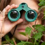 Birdwatching May Help Protect Your Brain From Age-Related Decline : ScienceAlert