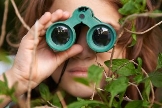 Birdwatching May Help Protect Your Brain From Age-Related Decline : ScienceAlert