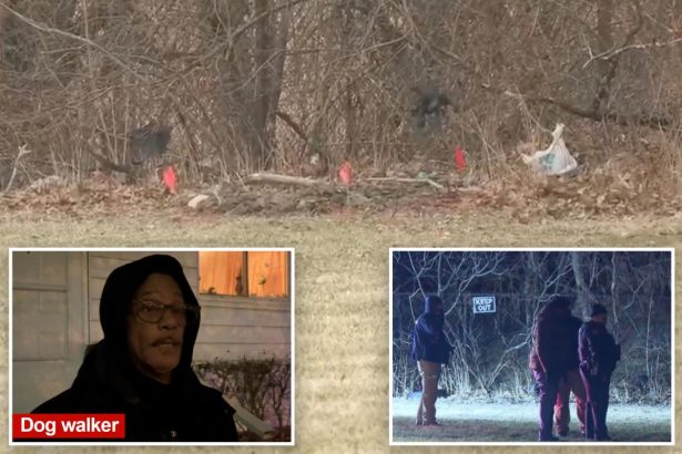Bodies of 2 young girls found dumped in Cleveland park
