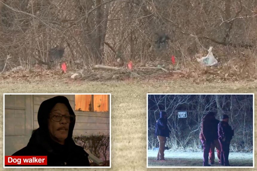 Bodies of 2 young girls found dumped in Cleveland park