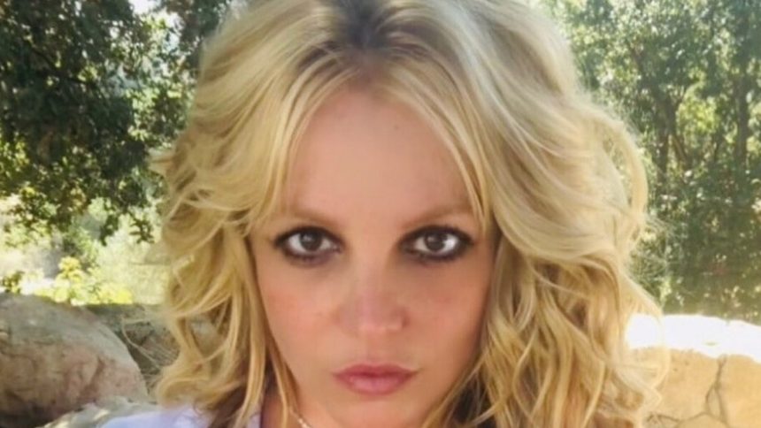 Britney Spears Open to Treatment Plan as Team Weighs Options