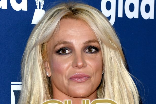 Britney Spears Took Field Sobriety Tests, Suspected of Drugs & Alcohol, CHP Says