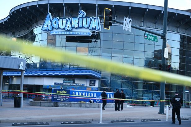 Brothers get prison for Denver Downtown Aquarium shooting