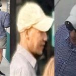 Bystander intervenes as man attempts to lure girl in Lincoln Park