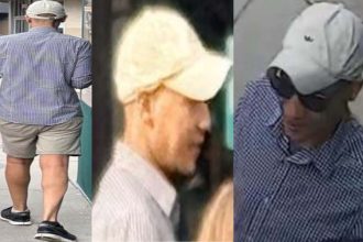 Bystander intervenes as man attempts to lure girl in Lincoln Park