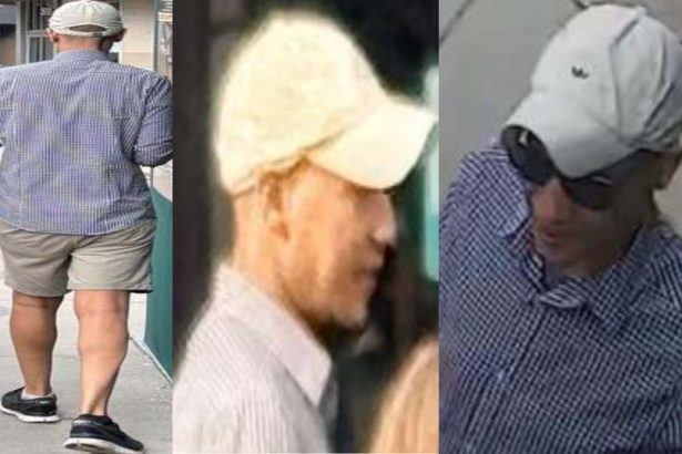 Bystander intervenes as man attempts to lure girl in Lincoln Park