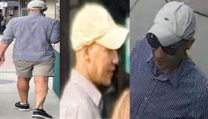 Bystander intervenes as man attempts to lure girl in Lincoln Park