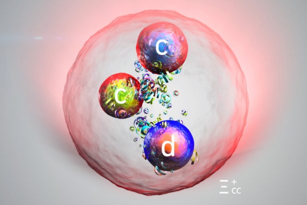 CERN Discovers New Particle After Upgrading Large Hadron Collider : ScienceAlert