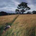 Camille Lemoine’s Portrait of Home and Belonging in Rural Scotland — Colossal