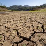 Can species evolve fast enough to survive as the planet heats up?