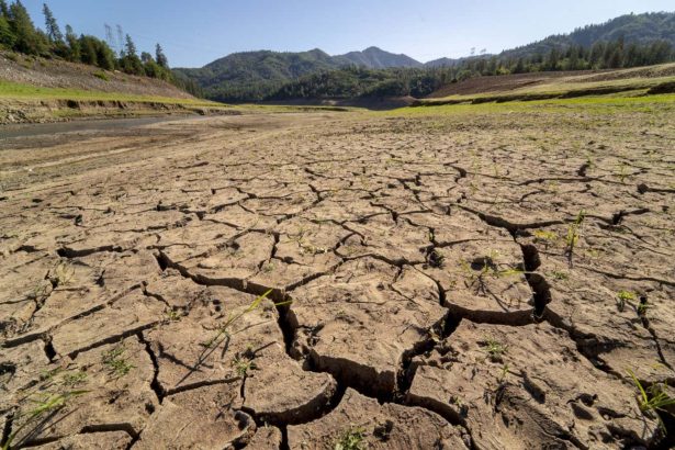 Can species evolve fast enough to survive as the planet heats up?