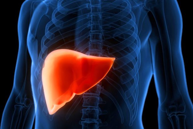 Cannabis Compounds May Reverse Fatty Liver Disease, Study Suggests : ScienceAlert