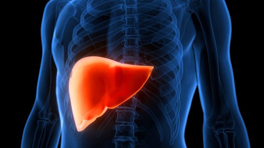 Cannabis Compounds May Reverse Fatty Liver Disease, Study Suggests : ScienceAlert