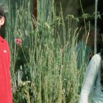 Cher’s Son Elijah Blue Allman Busted On Assault Charges