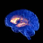 China just approved its first brain implant for commercial use, a world first