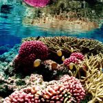 Climate nears tipping points