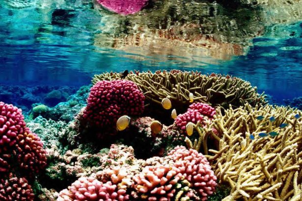 Climate nears tipping points