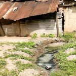 Cocoa boom, water bust