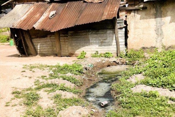 Cocoa boom, water bust