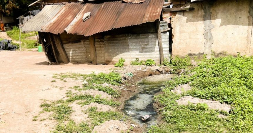 Cocoa boom, water bust