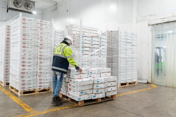 Cold storage trough in sight as vacancies hit 20-year high