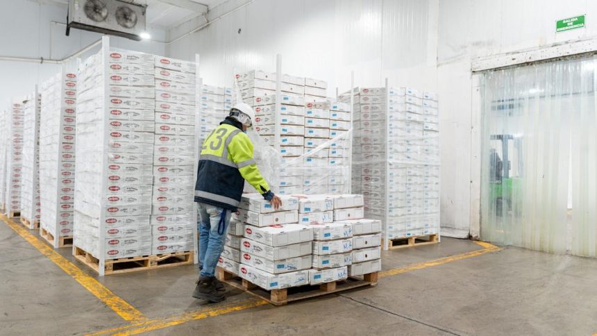 Cold storage trough in sight as vacancies hit 20-year high