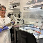 Colossal aims to bring woolly mammoths back from extinction : NPR