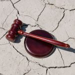 Communicating Across Disciplines in Climate Change Litigation 