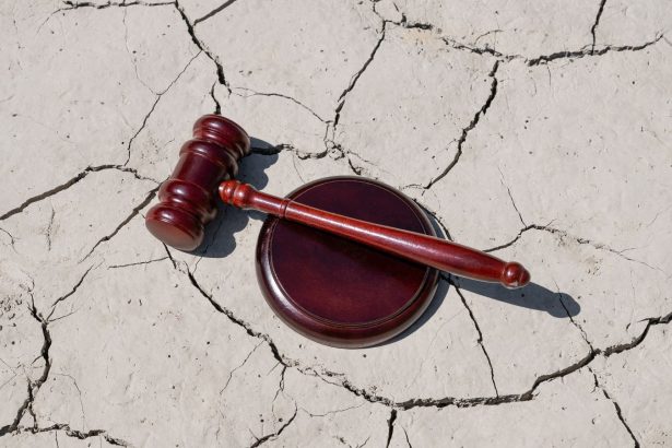 Communicating Across Disciplines in Climate Change Litigation 