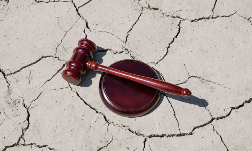 Communicating Across Disciplines in Climate Change Litigation 