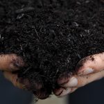 Conservation Is at a Crossroads with the New Farm Bill