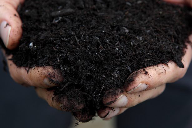 Conservation Is at a Crossroads with the New Farm Bill