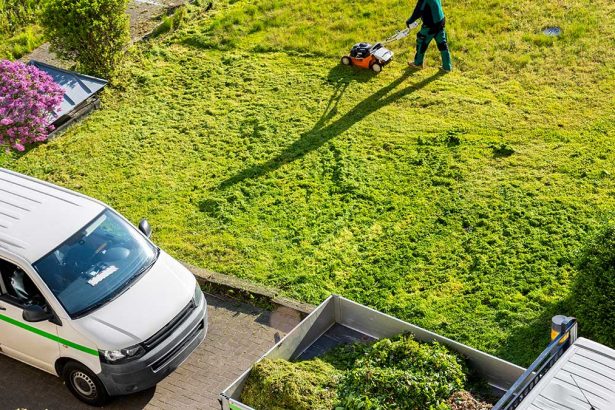 Convenience Comes at the Environment’s Expense