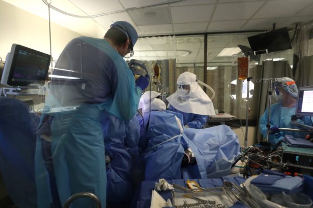 Covid deaths undercounted, U.S. scientists in peril